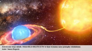 An artist's conception of OGLE-BLG-RRLYR-02792. Author: Janusz Bogucki