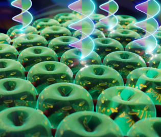 Sieć toronów, samoorganizujących się defektów w ciekłych kryształach, których wewnętrzna struktura umożliwia generację światła laserowego niosącego orbitalny moment pędu (wizualizacja Marcin Muszyński, Wydział Fizyki UW).