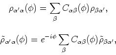 \begin{displaymath}
\begin{array}{c}
\displaystyle{\rho_{\alpha^{\prime }\alpha}...
...beta}(\phi )\tilde{\rho}_{\beta\alpha^{\prime }}} ,
\end{array}\end{displaymath}