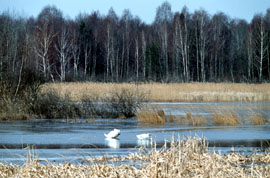 Poleski National Park