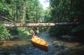 Rospuda river