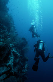 Diving in
Sharm-el-Sheikh