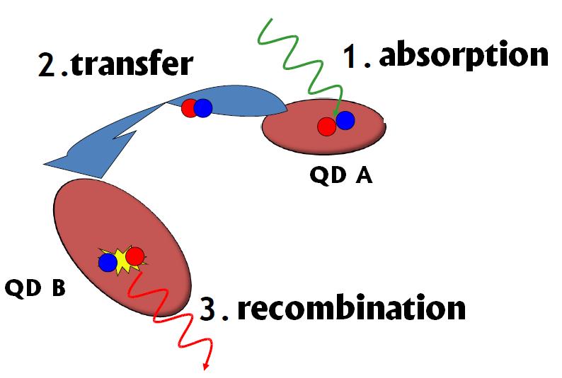 tl_files/lumnp/exitation_transfer.JPG